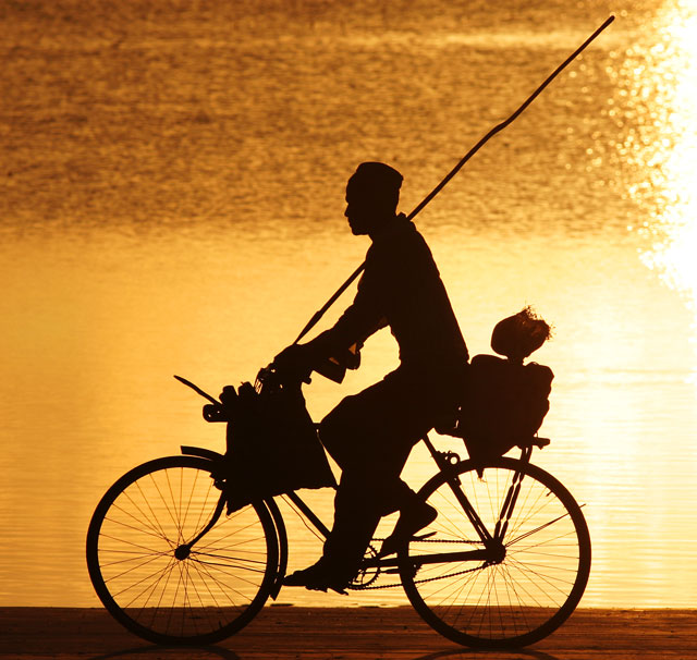 Zanzibar Cyclist